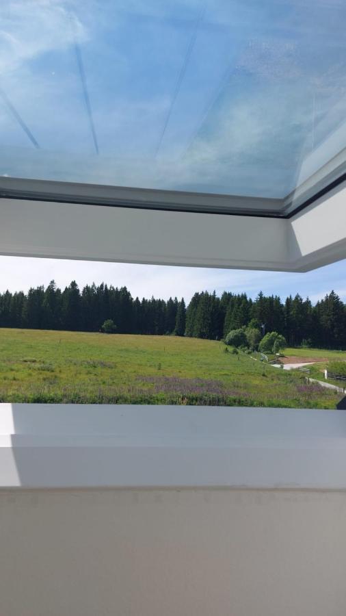 Kvilda! Apartman Terezka Daire Dış mekan fotoğraf